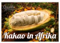Kakao in Afrika (Wandkalender 2024 DIN A2 quer), CALVENDO Monatskalender