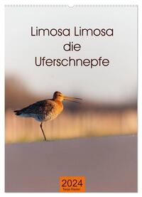 Limosa Limosa die Uferschnepfe (Wandkalender 2024 DIN A2 hoch), CALVENDO Monatskalender