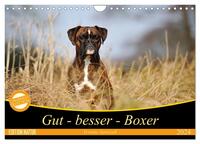 Gut - besser - Boxer (Wandkalender 2024 DIN A4 quer), CALVENDO Monatskalender