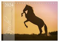 Pferde - Anmut und Stärke gepaart mit Magie (Tischkalender 2024 DIN A5 quer), CALVENDO Monatskalender