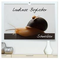 Lautlose Begleiter - Schnecken (hochwertiger Premium Wandkalender 2024 DIN A2 quer), Kunstdruck in Hochglanz