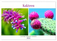 Kakteen - stachelige, blühende Schönheiten (Wandkalender 2024 DIN A2 quer), CALVENDO Monatskalender