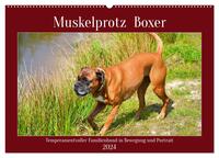 Muskelprotz Boxer (Wandkalender 2024 DIN A2 quer), CALVENDO Monatskalender