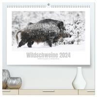 Wildschweine – Wildlife Fotografien (hochwertiger Premium Wandkalender 2024 DIN A2 quer), Kunstdruck in Hochglanz