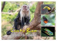 Costa Rica - Tropische Tierwelt (Wandkalender 2024 DIN A2 quer), CALVENDO Monatskalender