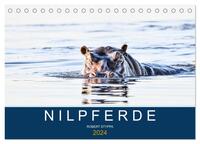 Nilpferde, Kolosse in Afrika (Tischkalender 2024 DIN A5 quer), CALVENDO Monatskalender