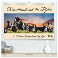 Rasselbande mit 40 Pfoten (hochwertiger Premium Wandkalender 2024 DIN A2 quer), Kunstdruck in Hochglanz
