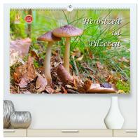 Herbstzeit ist Pilzezeit (hochwertiger Premium Wandkalender 2024 DIN A2 quer), Kunstdruck in Hochglanz