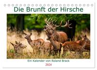 Die Brunft der Hirsche (Tischkalender 2024 DIN A5 quer), CALVENDO Monatskalender