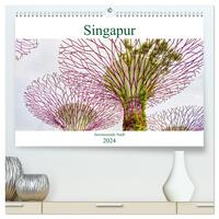 Singapur - faszinierende Stadt (hochwertiger Premium Wandkalender 2024 DIN A2 quer), Kunstdruck in Hochglanz