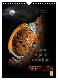 Auge in Auge mit coolen Typen - REPTILIEN (Wandkalender 2024 DIN A4 hoch), CALVENDO Monatskalender