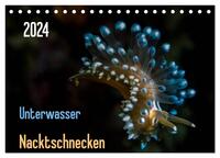 Unterwasser - Nacktschnecken 2024 (Tischkalender 2024 DIN A5 quer), CALVENDO Monatskalender