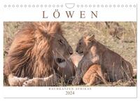 Löwen - Raubkatzen Afrikas (Wandkalender 2024 DIN A4 quer), CALVENDO Monatskalender
