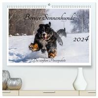 Berner Sennenhunde - Die sanften Powerpakete (hochwertiger Premium Wandkalender 2024 DIN A2 quer), Kunstdruck in Hochglanz