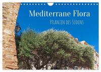 Mediterrane Flora - Pflanzen des Südens (Wandkalender 2024 DIN A4 quer), CALVENDO Monatskalender