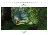 WALD Erholung pur (Tischkalender 2024 DIN A5 quer), CALVENDO Monatskalender