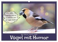 Vögel mit Humor (Wandkalender 2024 DIN A2 quer), CALVENDO Monatskalender