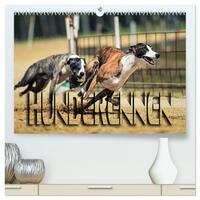Hunderennen (hochwertiger Premium Wandkalender 2024 DIN A2 quer), Kunstdruck in Hochglanz