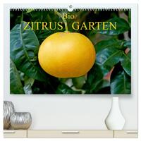 Bio Zitrus Garten (hochwertiger Premium Wandkalender 2024 DIN A2 quer), Kunstdruck in Hochglanz