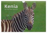 Kenia - Die Tiere der Savanne (Wandkalender 2024 DIN A4 quer), CALVENDO Monatskalender