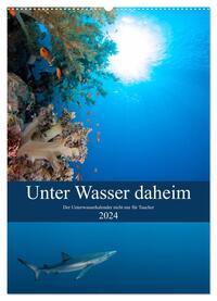 Unter Wasser daheim (Wandkalender 2024 DIN A2 hoch), CALVENDO Monatskalender