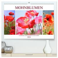 Mohnblumen. Leuchtender Liebreiz auf Wiesen und in Gärten (hochwertiger Premium Wandkalender 2024 DIN A2 quer), Kunstdruck in Hochglanz