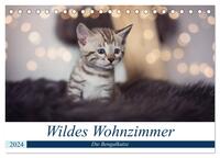 Wildes Wohnzimmer - Die Bengalkatze (Tischkalender 2024 DIN A5 quer), CALVENDO Monatskalender