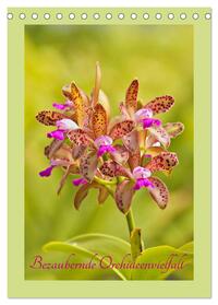 Bezaubernde Orchideenvielfalt (Tischkalender 2024 DIN A5 hoch), CALVENDO Monatskalender