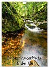 Augenblicke an der Ilse (Wandkalender 2024 DIN A4 hoch), CALVENDO Monatskalender