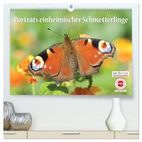 GEOclick Lernkalender: Porträts einheimischer Schmetterlinge (hochwertiger Premium Wandkalender 2024 DIN A2 quer), Kunstdruck in Hochglanz