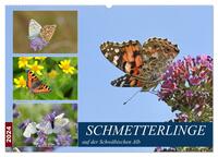 Schmetterlinge auf der Schwäbischen Alb (Wandkalender 2024 DIN A2 quer), CALVENDO Monatskalender