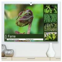 Farne - Filigrane Schönheiten (hochwertiger Premium Wandkalender 2024 DIN A2 quer), Kunstdruck in Hochglanz
