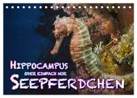 Hippocampus oder einfach nur Seepferdchen (Tischkalender 2024 DIN A5 quer), CALVENDO Monatskalender