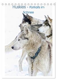 Huskies - Portraits im Schnee (Tischkalender 2024 DIN A5 hoch), CALVENDO Monatskalender