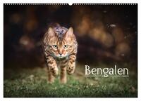 Bengalen Outdoor und Action (Wandkalender 2024 DIN A2 quer), CALVENDO Monatskalender