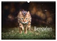 Bengalen Outdoor und Action (Wandkalender 2024 DIN A3 quer), CALVENDO Monatskalender