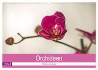 Blütenzauber Orchideen (Wandkalender 2024 DIN A3 quer), CALVENDO Monatskalender