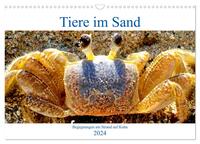 Tiere im Sand - Begegnungen am Strand auf Kuba (Wandkalender 2024 DIN A3 quer), CALVENDO Monatskalender
