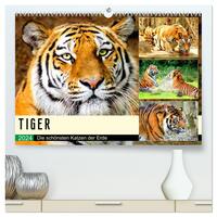 Tiger. Die schönsten Katzen der Erde (hochwertiger Premium Wandkalender 2024 DIN A2 quer), Kunstdruck in Hochglanz