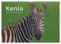 Kenia - Die Tiere der Savanne (Wandkalender 2024 DIN A2 quer), CALVENDO Monatskalender
