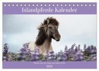 Islandpferde Kalender (Tischkalender 2024 DIN A5 quer), CALVENDO Monatskalender