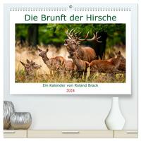 Die Brunft der Hirsche (hochwertiger Premium Wandkalender 2024 DIN A2 quer), Kunstdruck in Hochglanz