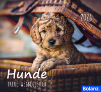 Hunde 2026