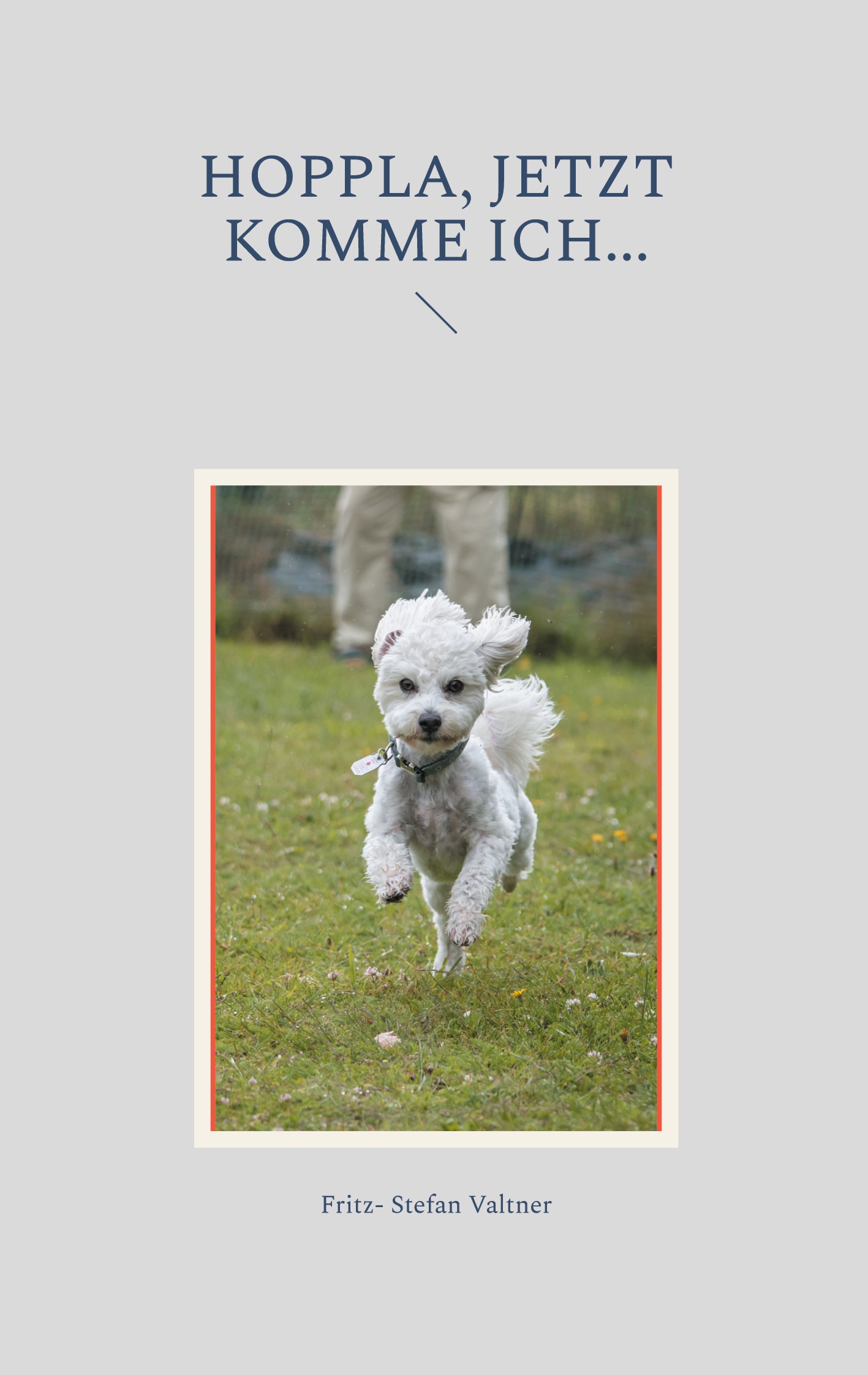 Cover-Abbildung für Hoppla, jetzt komme ich... (Softcover/Paperback) (99999---978-3-6951-0035-4)