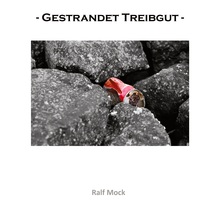 Cover-Abbildung für - Gestrandet Treibgut - (Hardcover) (99999---978-3-6951-0306-5)