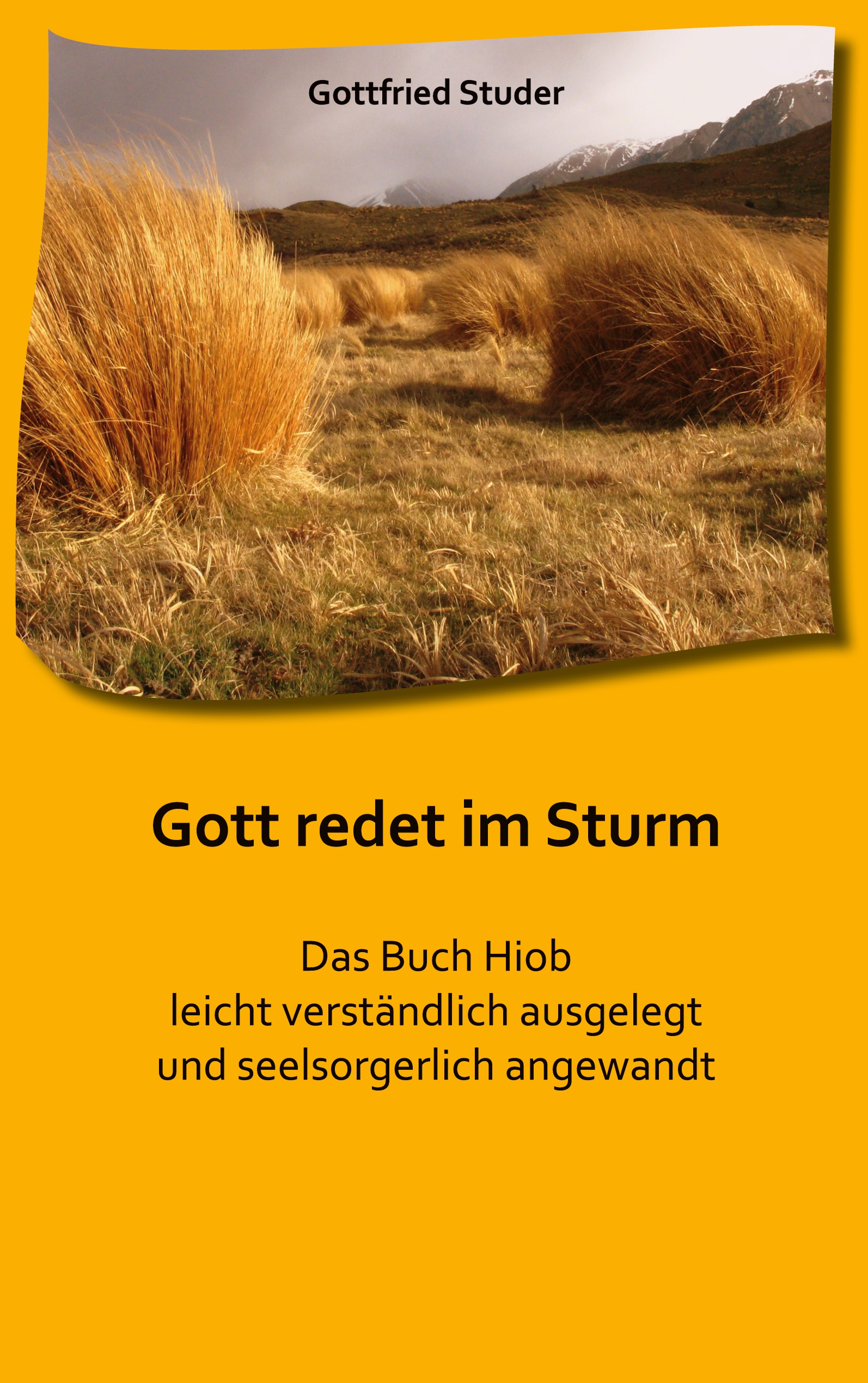 Cover-Abbildung für Gott redet im Sturm (Softcover/Paperback) (99999---978-3-6951-0350-8)