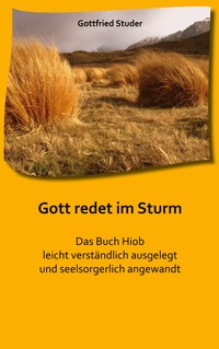 Cover-Abbildung für Gott redet im Sturm (Softcover/Paperback) (99999---978-3-6951-0350-8)