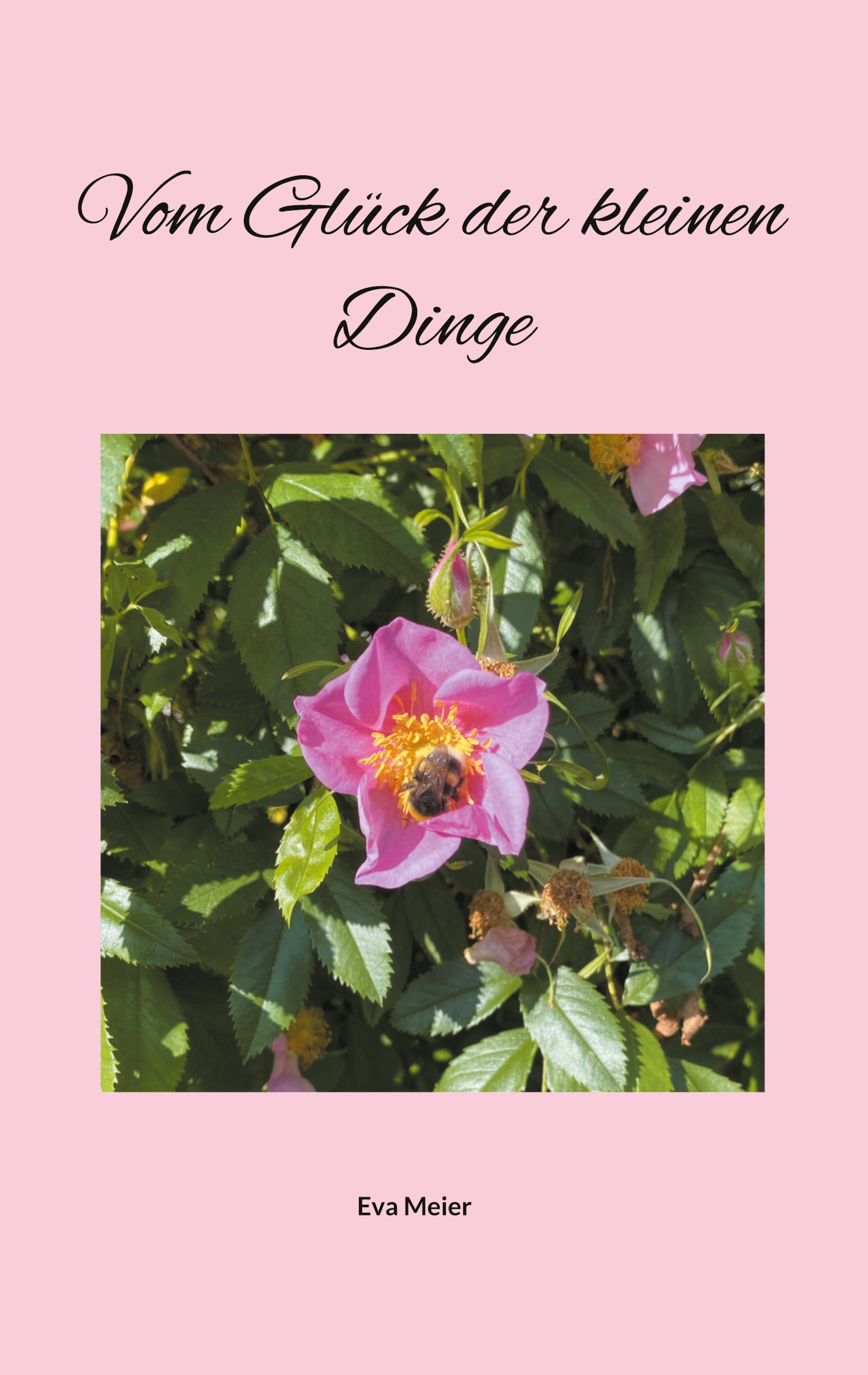 Cover-Abbildung für Vom Glück der kleinen Dinge (Softcover/Paperback) (99999---978-3-6951-3510-3)