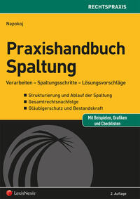 Praxishandbuch Spaltung