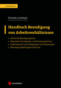 Handbuch Beendigung von Arbeitsverhältnissen